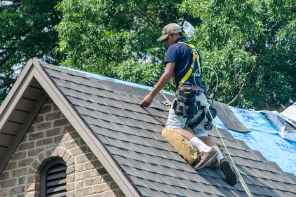 Best Emergency Roof Repair  in Prosperity, WV